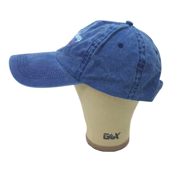 Williamsburg Virginia Strapback Cap Hat Vacation Washed Twill Embroidered NWT - Picture 9 of 14